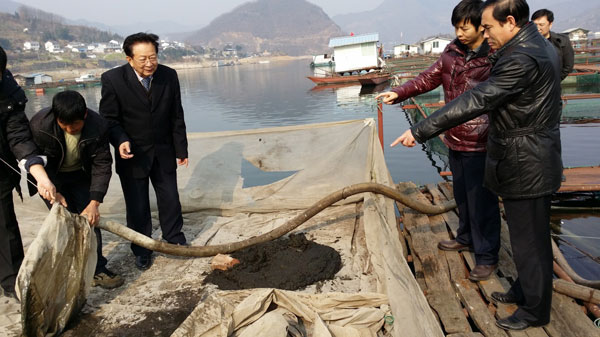 农业部渔业局副局长李书明在广元白龙湖调研网箱鱼体排泄物回收技术。